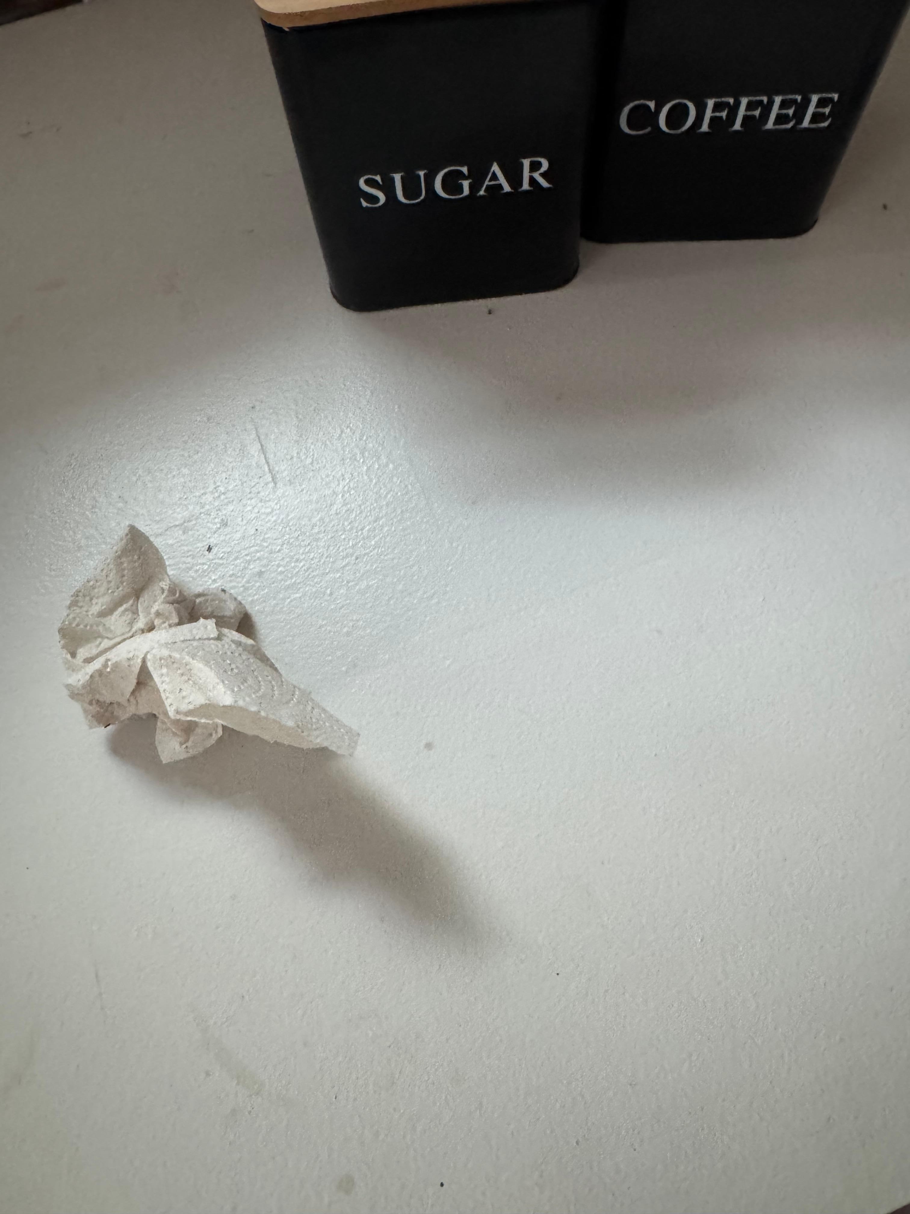 Ants we killed