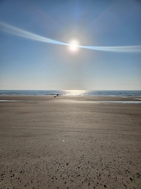 Morning walk on the beach