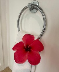 Pretty Flowers everywhere