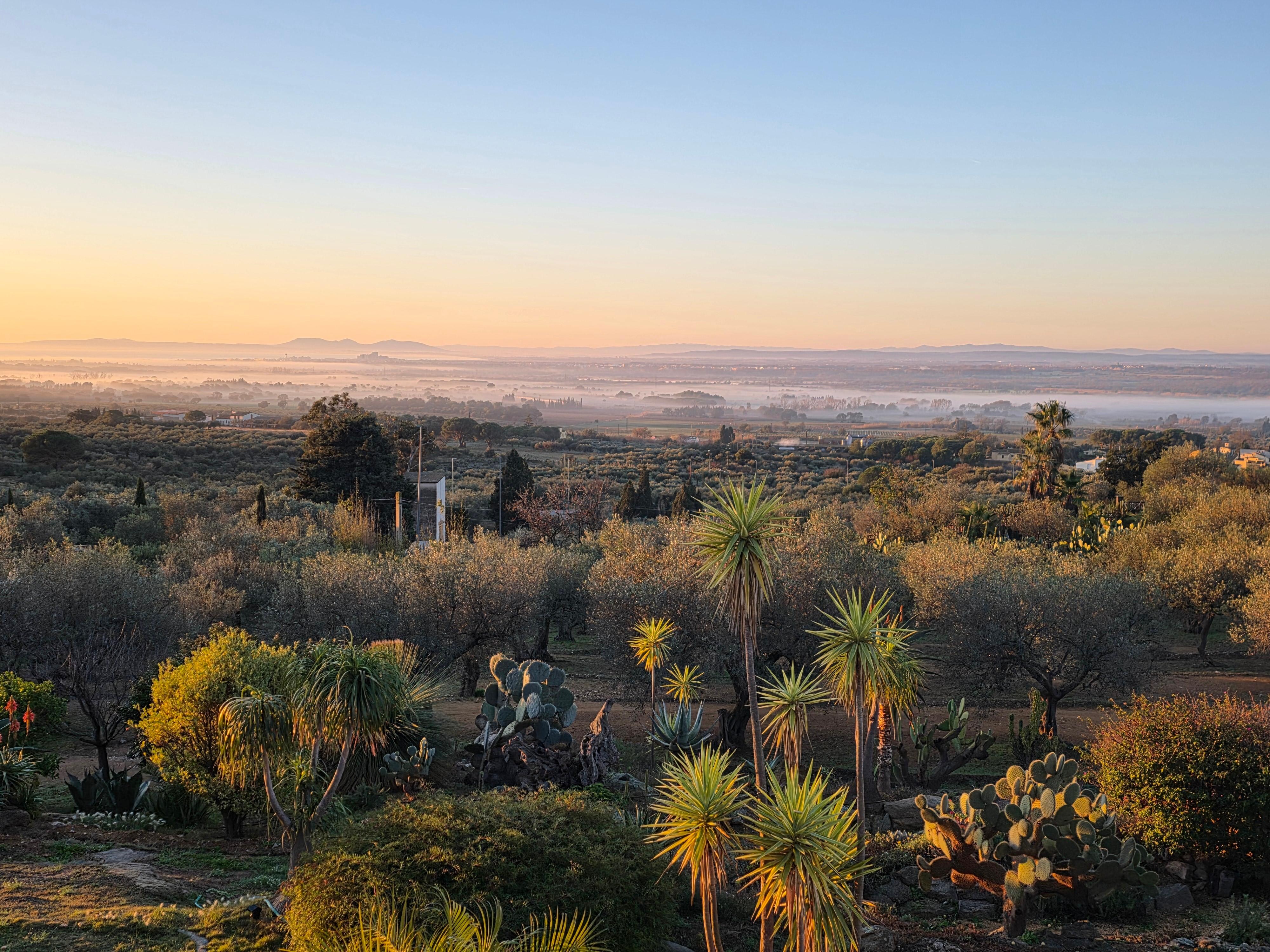 Vue le matin sur la plaine