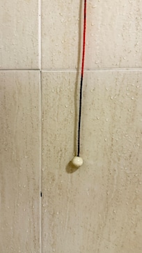 Mold