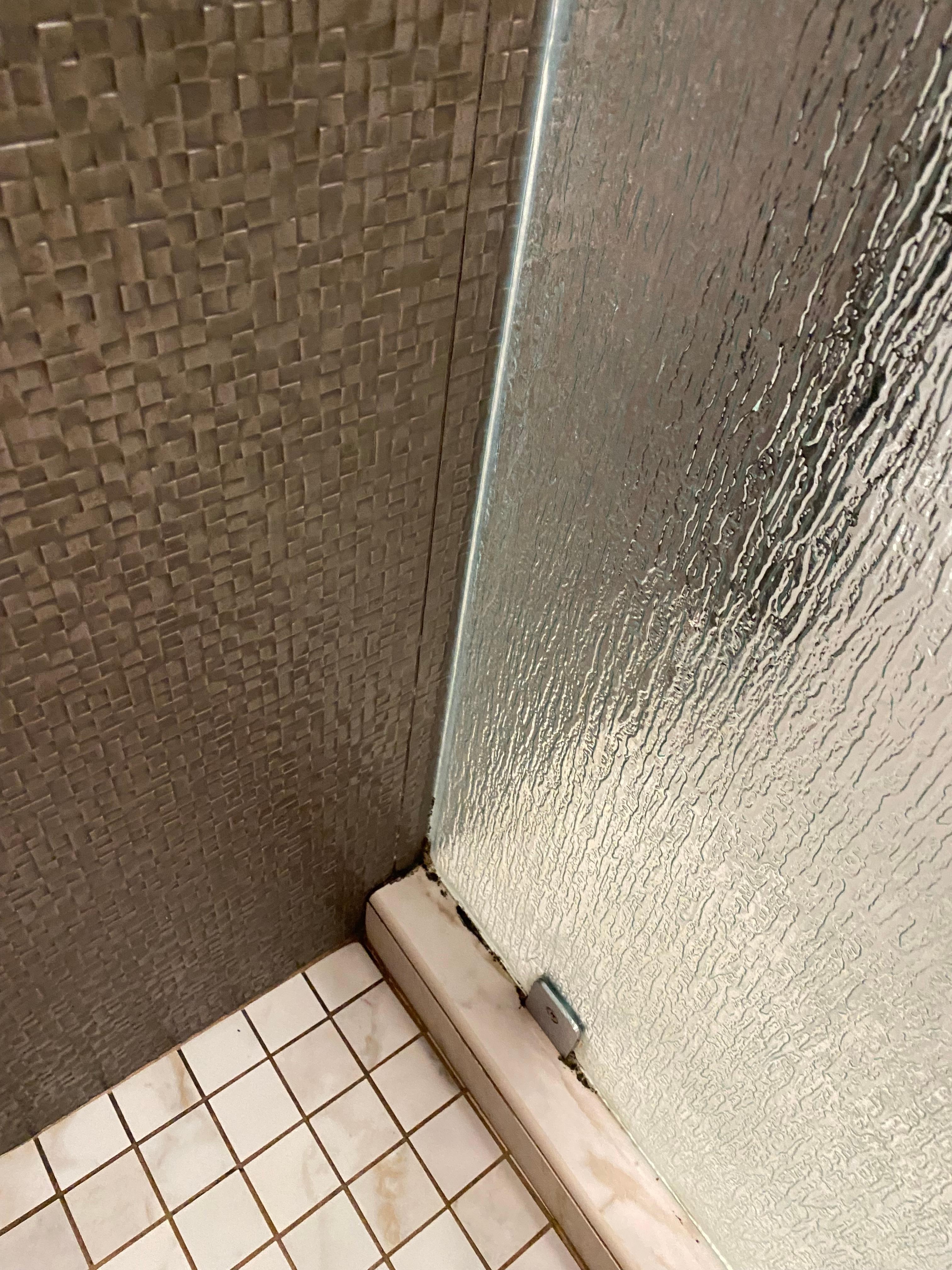 Mold in shower 