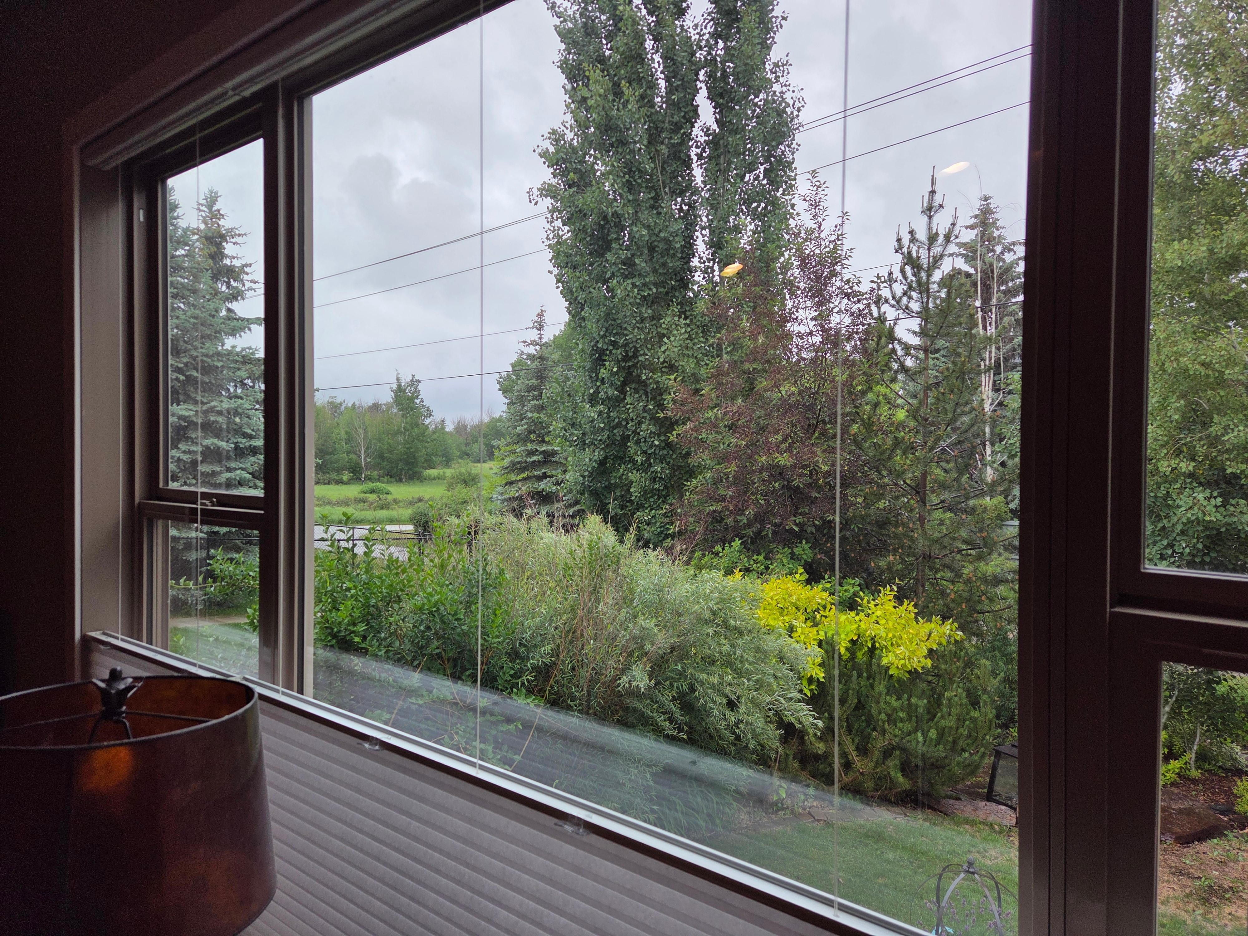 View out of the living room window.