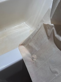 Red mold on the shower curtain