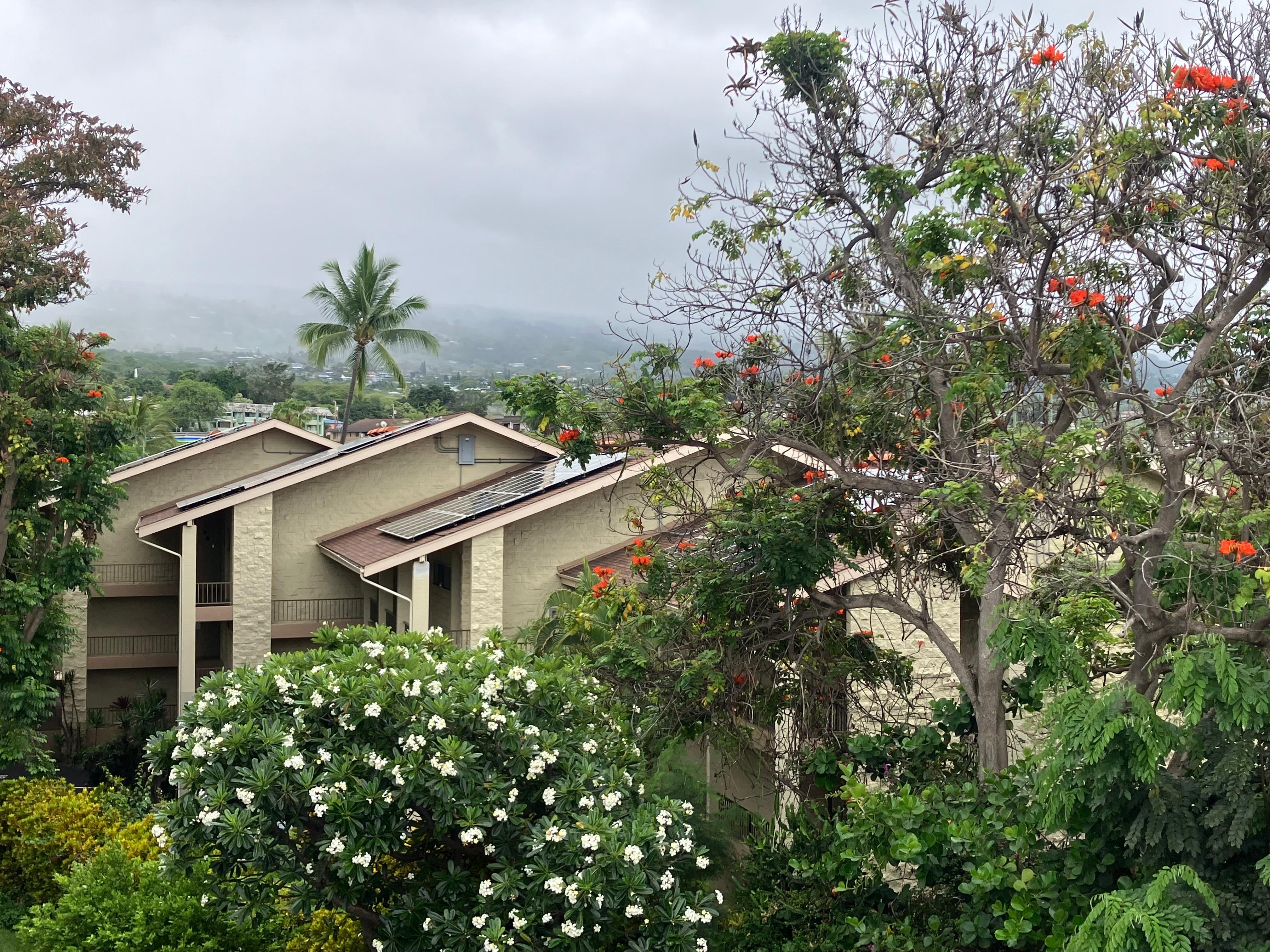 View from balcony