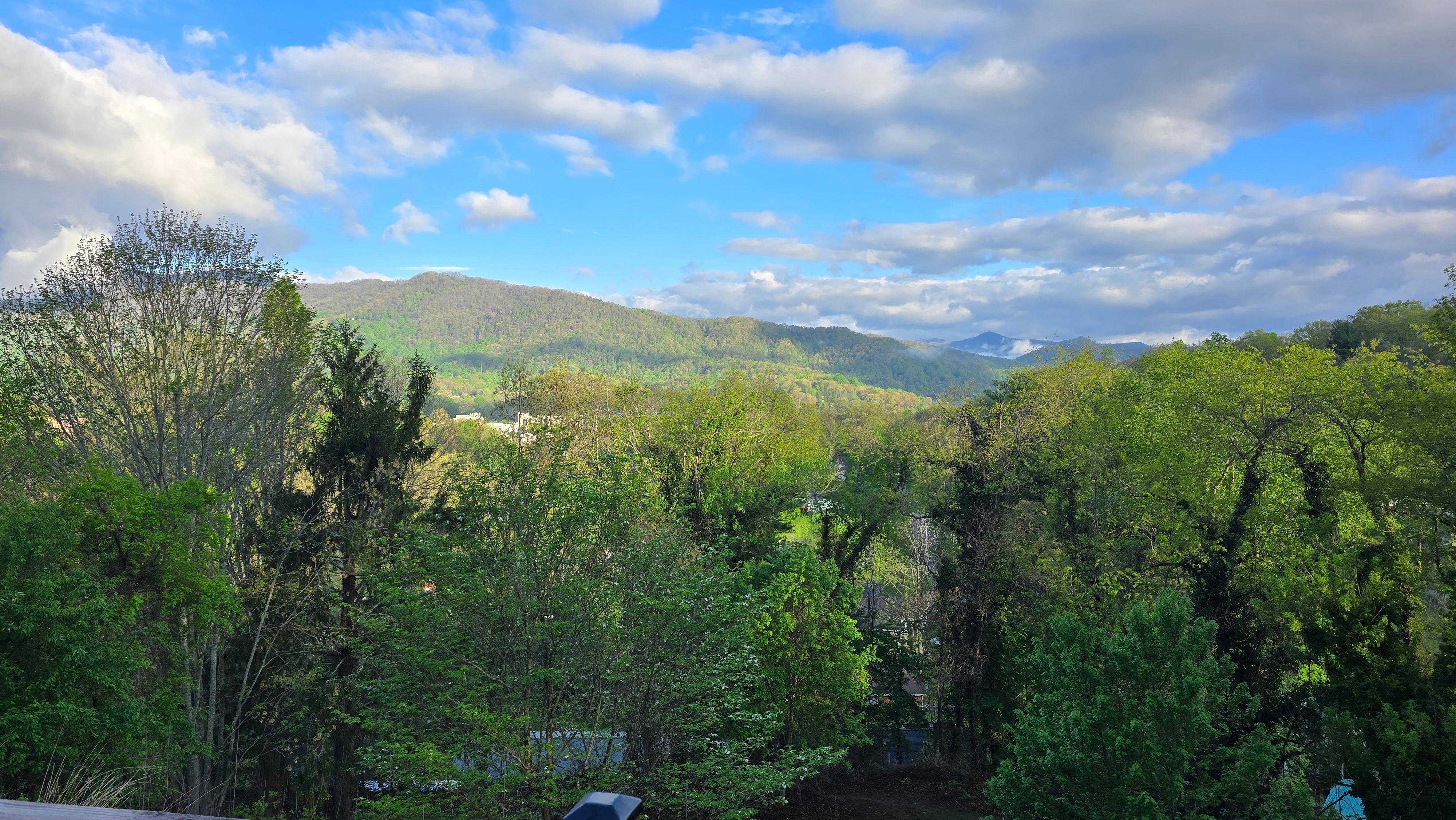 View from the deck