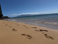 Beach next to the condo