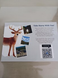 A fun little activity the owner invites you to participate in,especially if you're here with children.