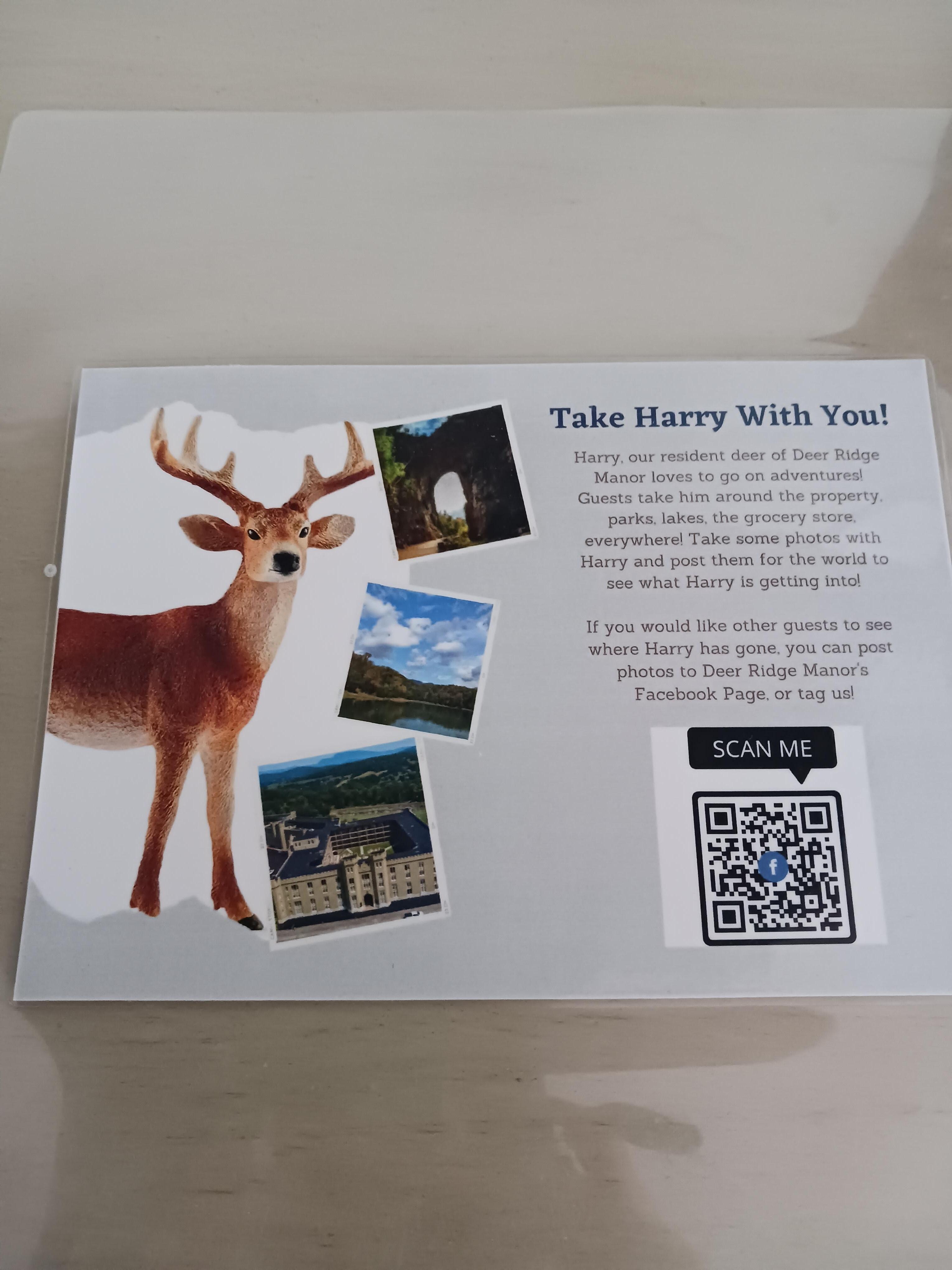 A fun little  activity the owner invites you to participate in,especially  if you're here with children.