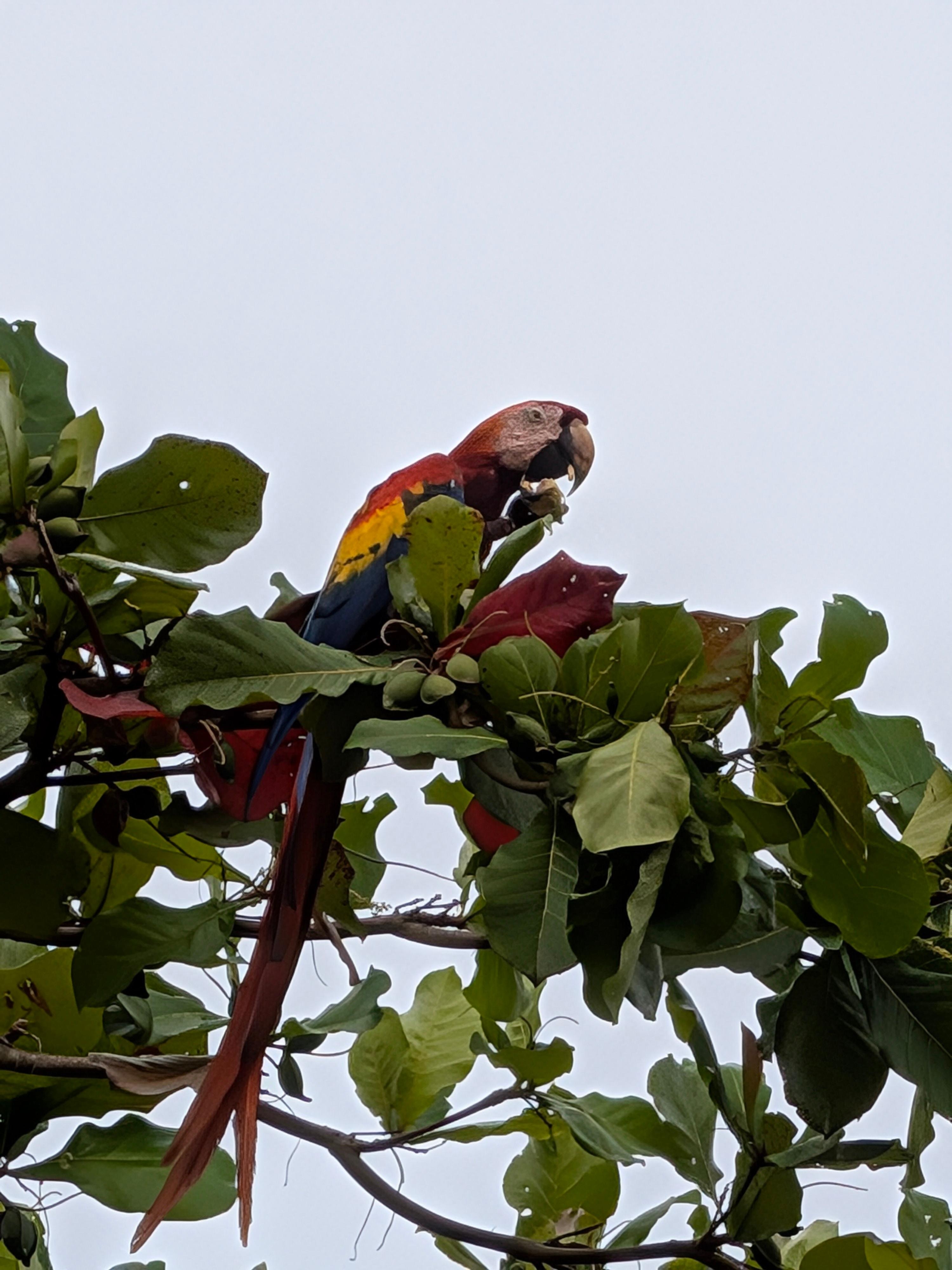 Another friendly visitor 