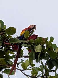 Another friendly visitor