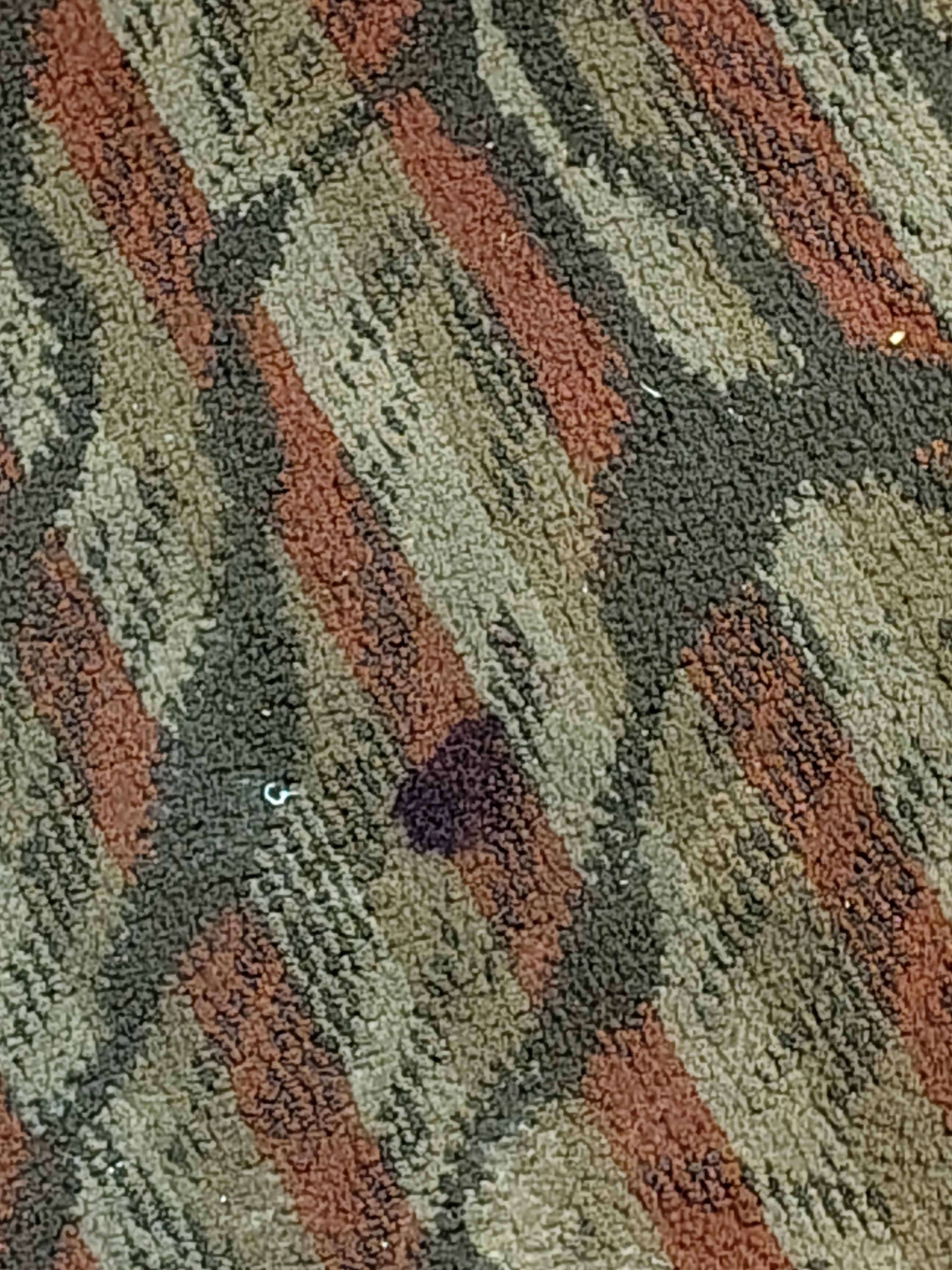 Spot on carpet, is that blood?