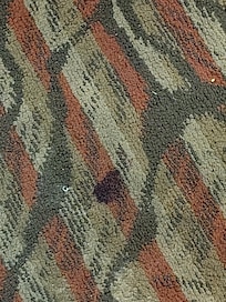 Spot on carpet, is that blood?
