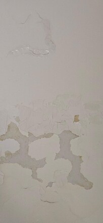 The tub was peeling all over and the drain was Rusty