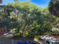 View from front stairs into Square across the street