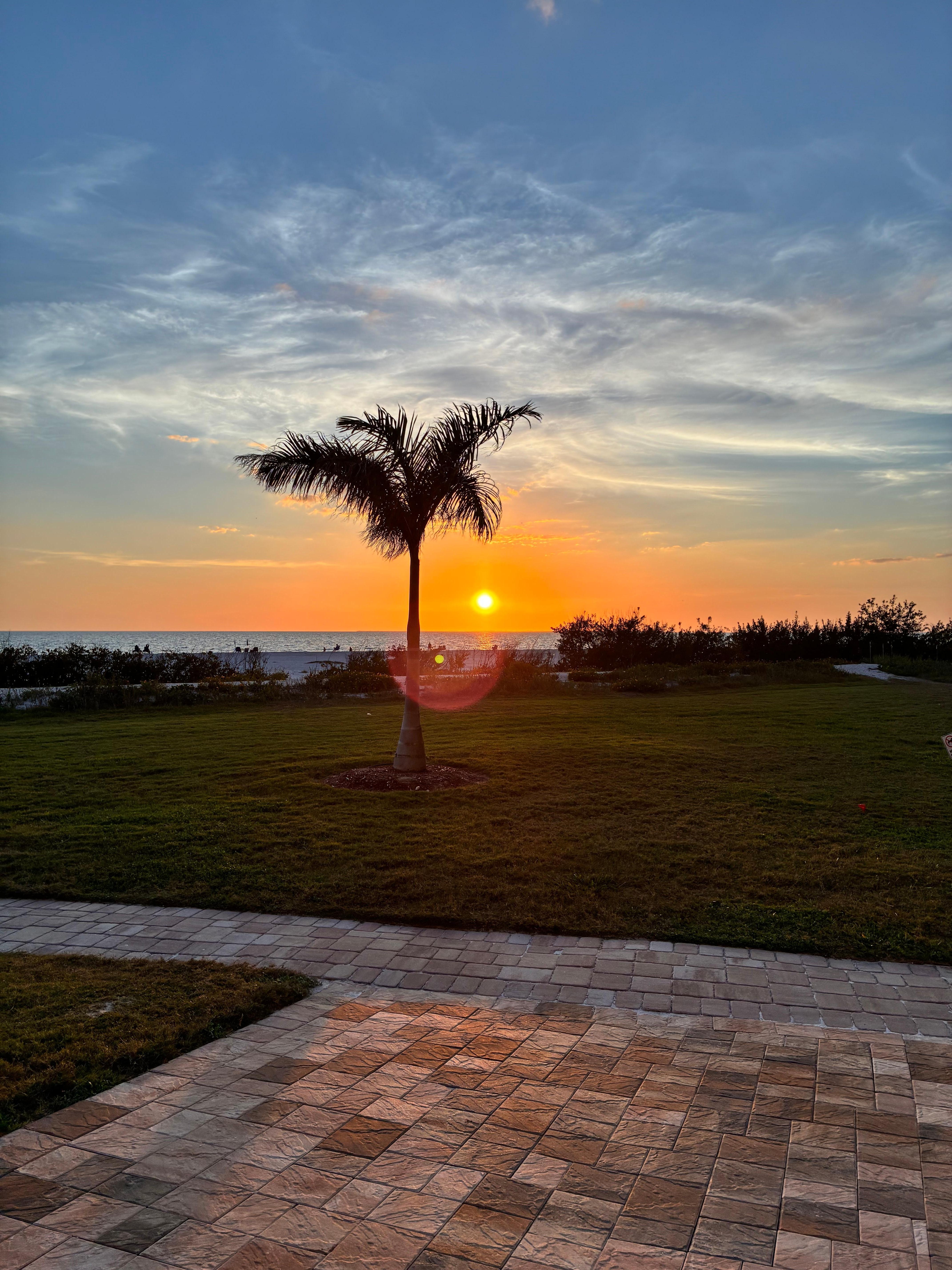 View from the property. 