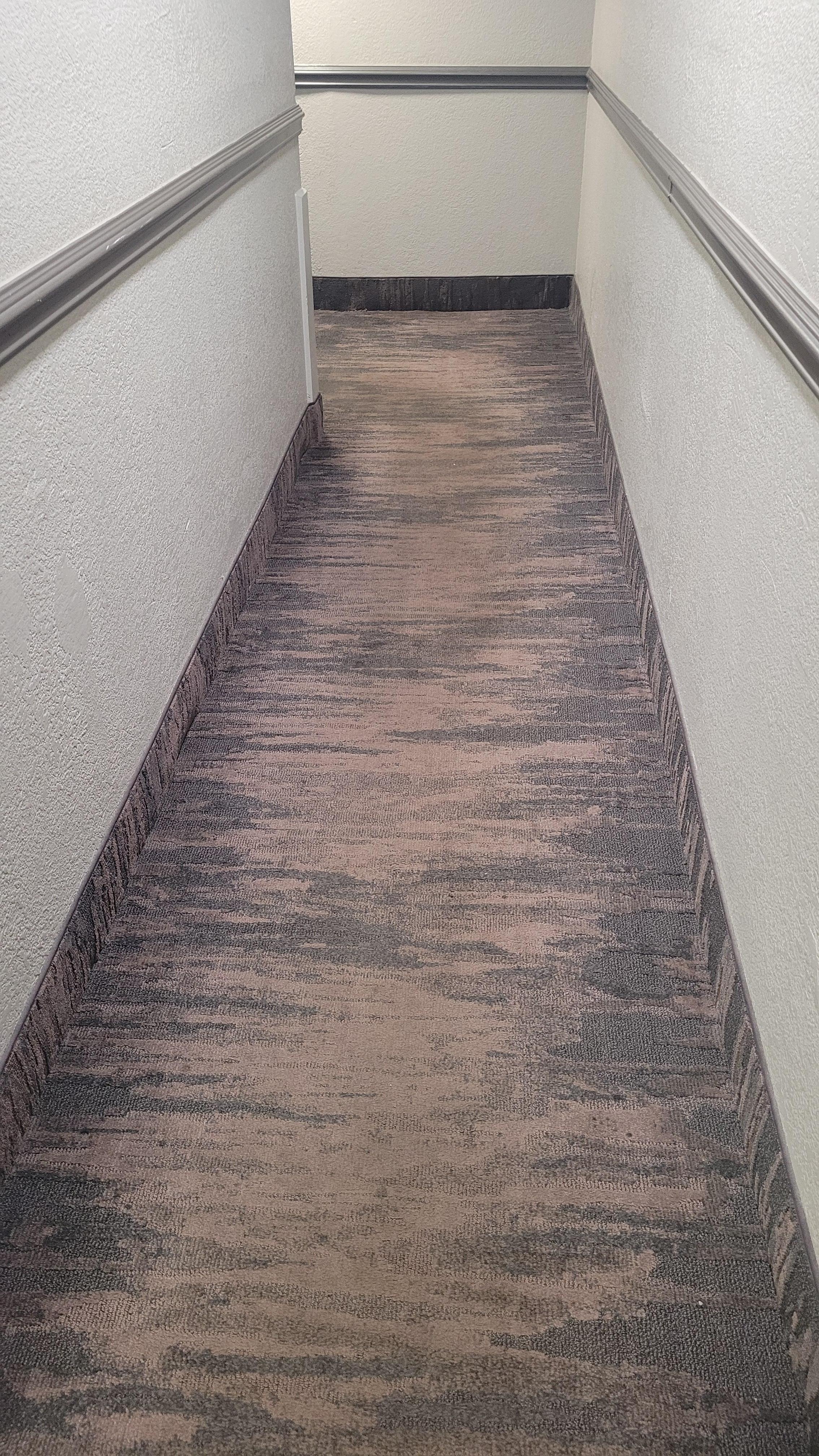 Dark brown carpet in common areas managed to look worn and dirty.