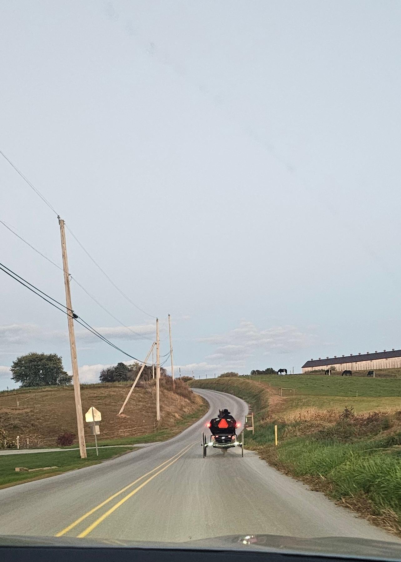 Sharing the road with the Amish