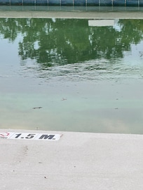 Stagnant water in a ânot yet open for the seasonâ pool