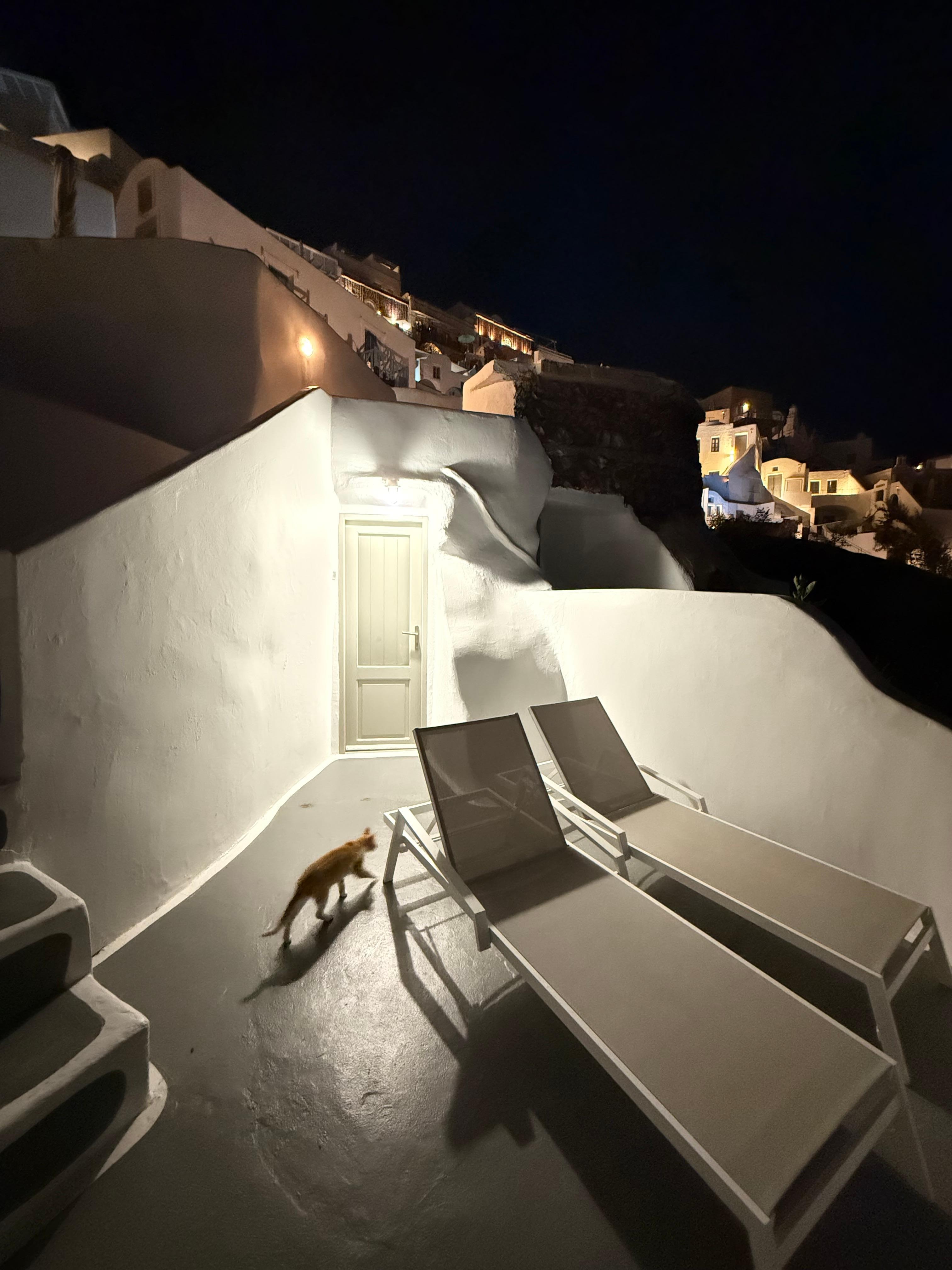 Night view