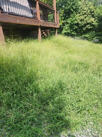 This is gravel area on back of house with high weeds
