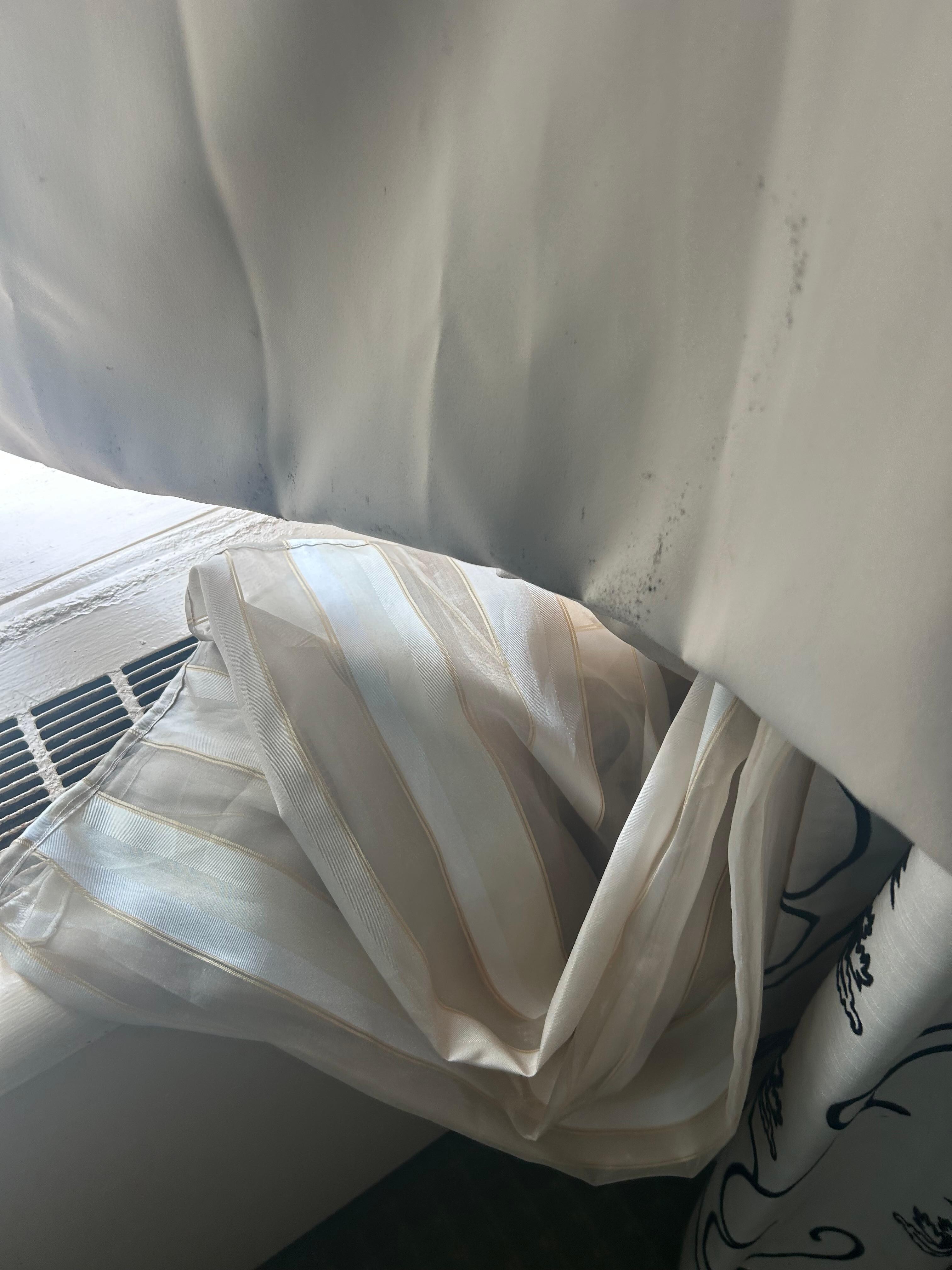Mold on drapes