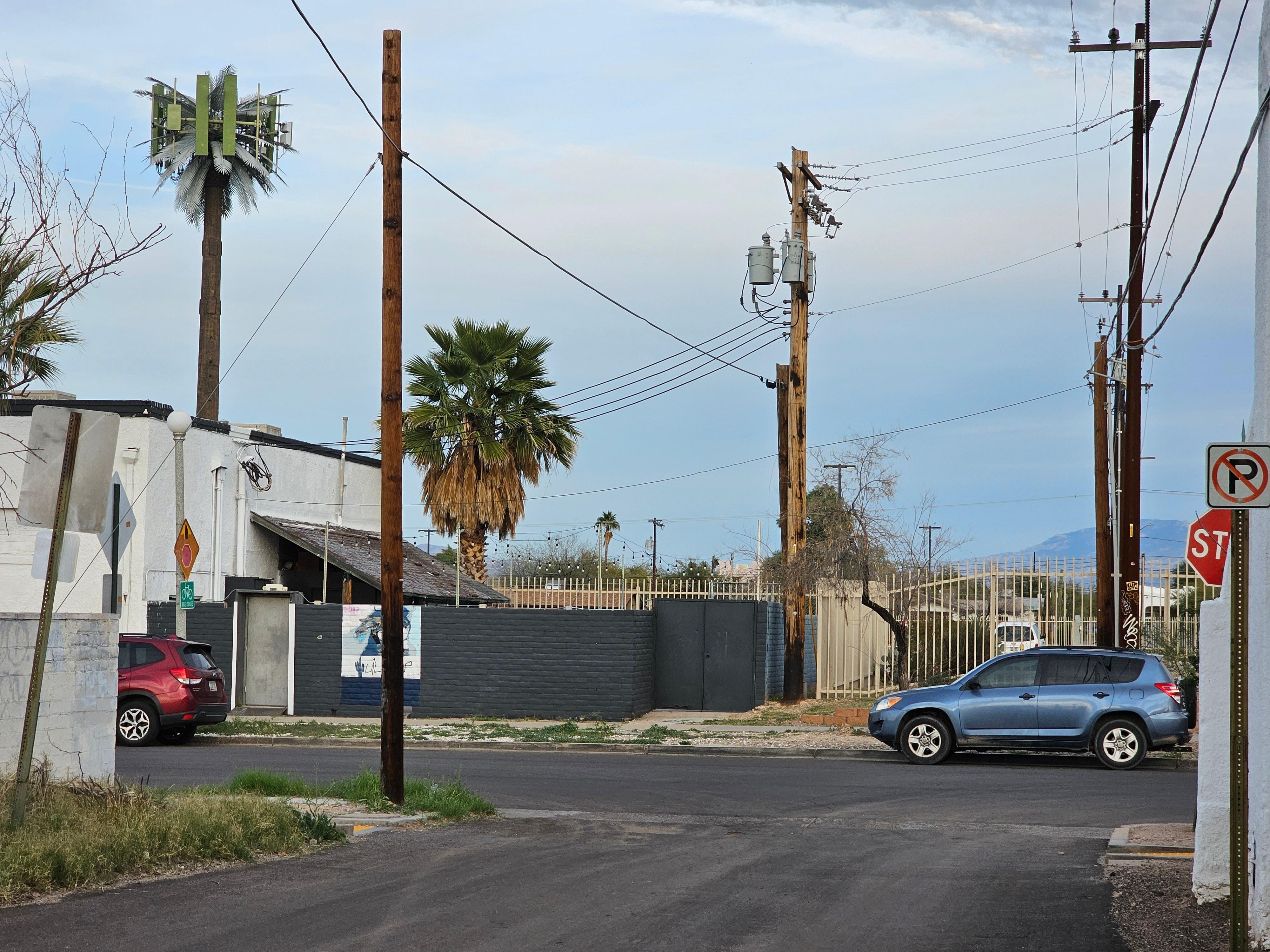 Looking East from front gate