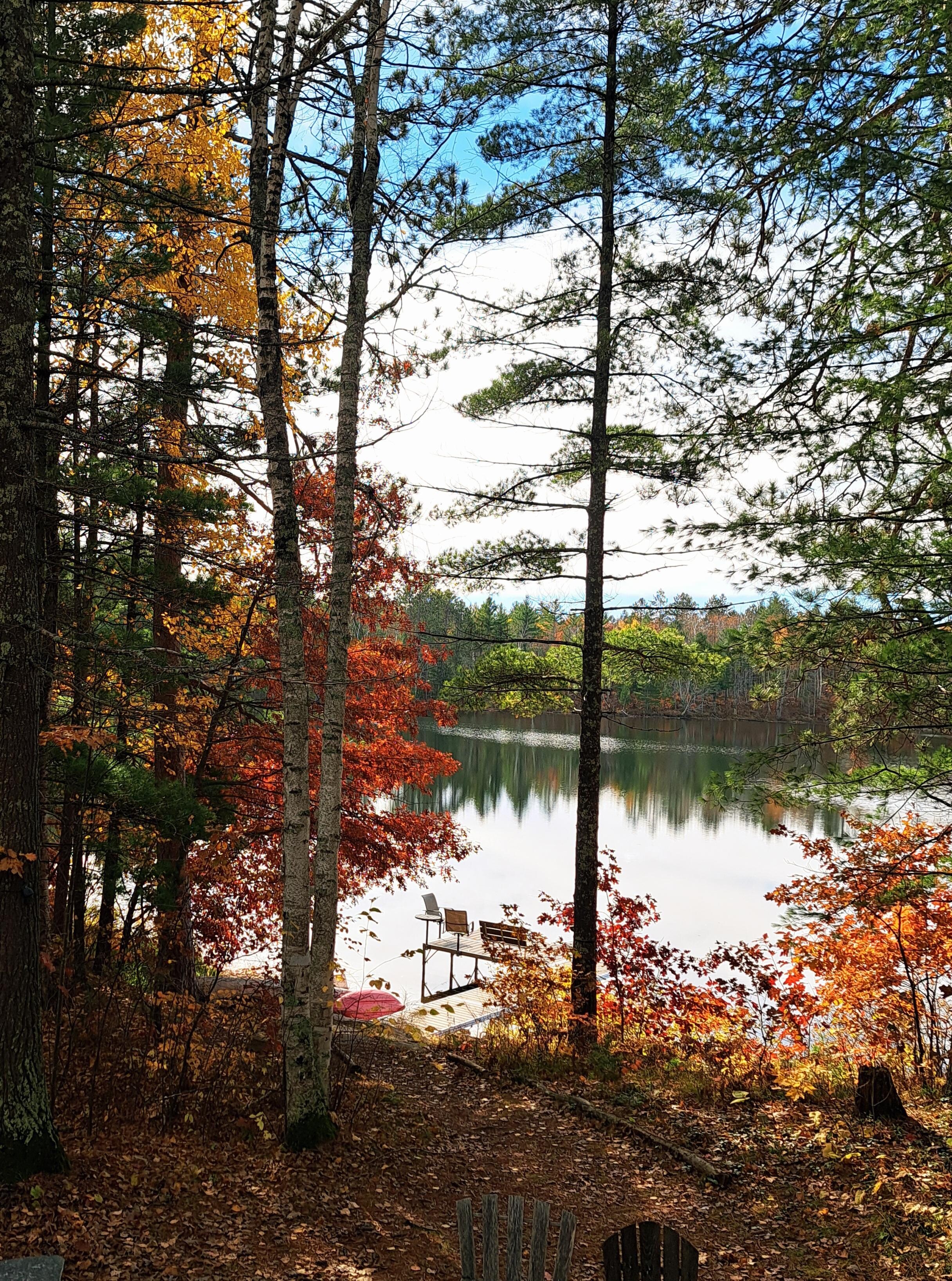 View of lake and dock from bonfire area.