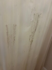 Mild on master bathroom shower curtain