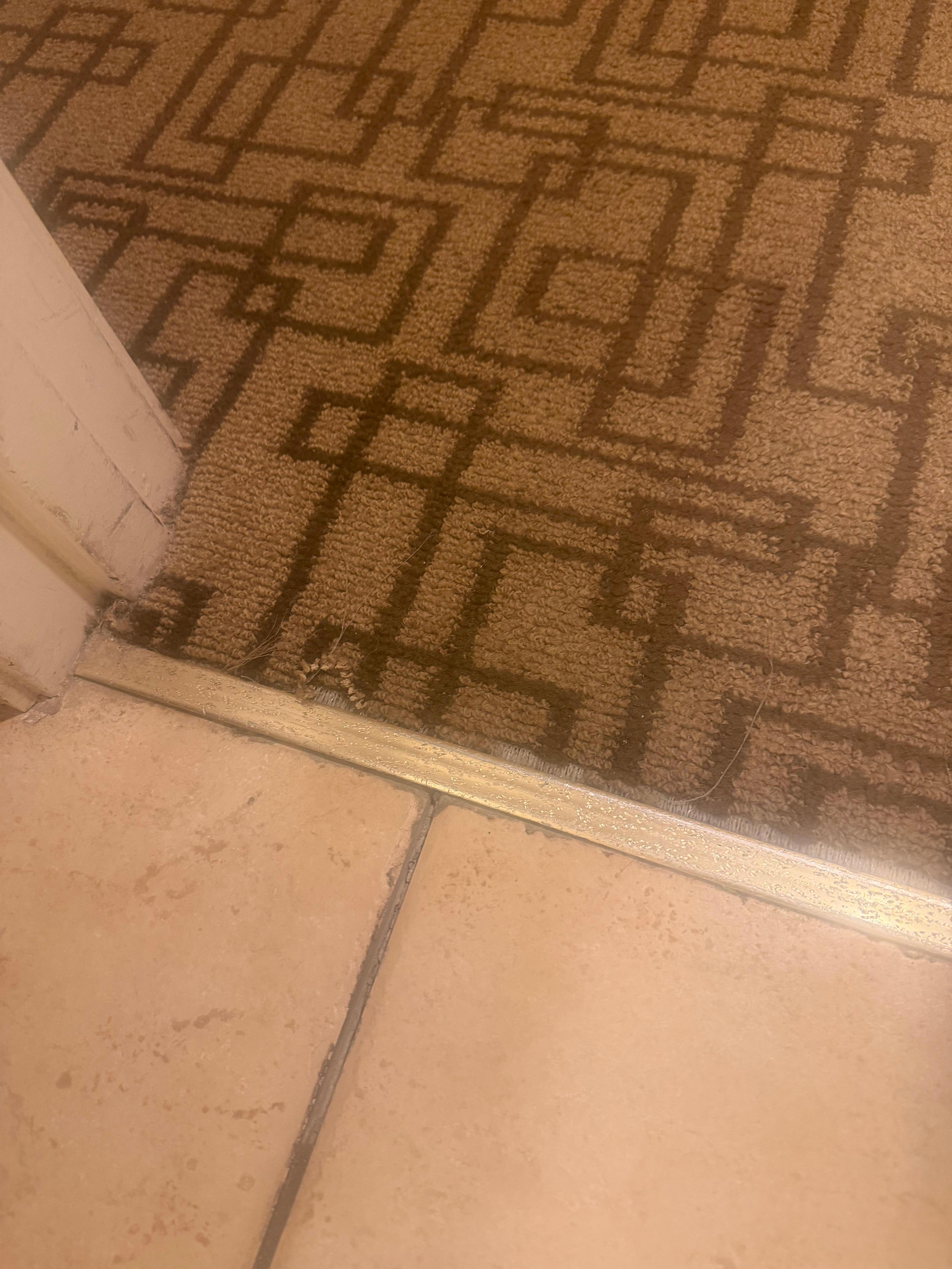 Carpet coming off the rugs to the bathroom. Rugs is very very old and musty. 