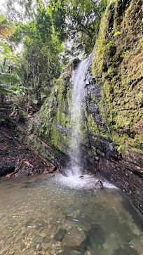 El Yunque