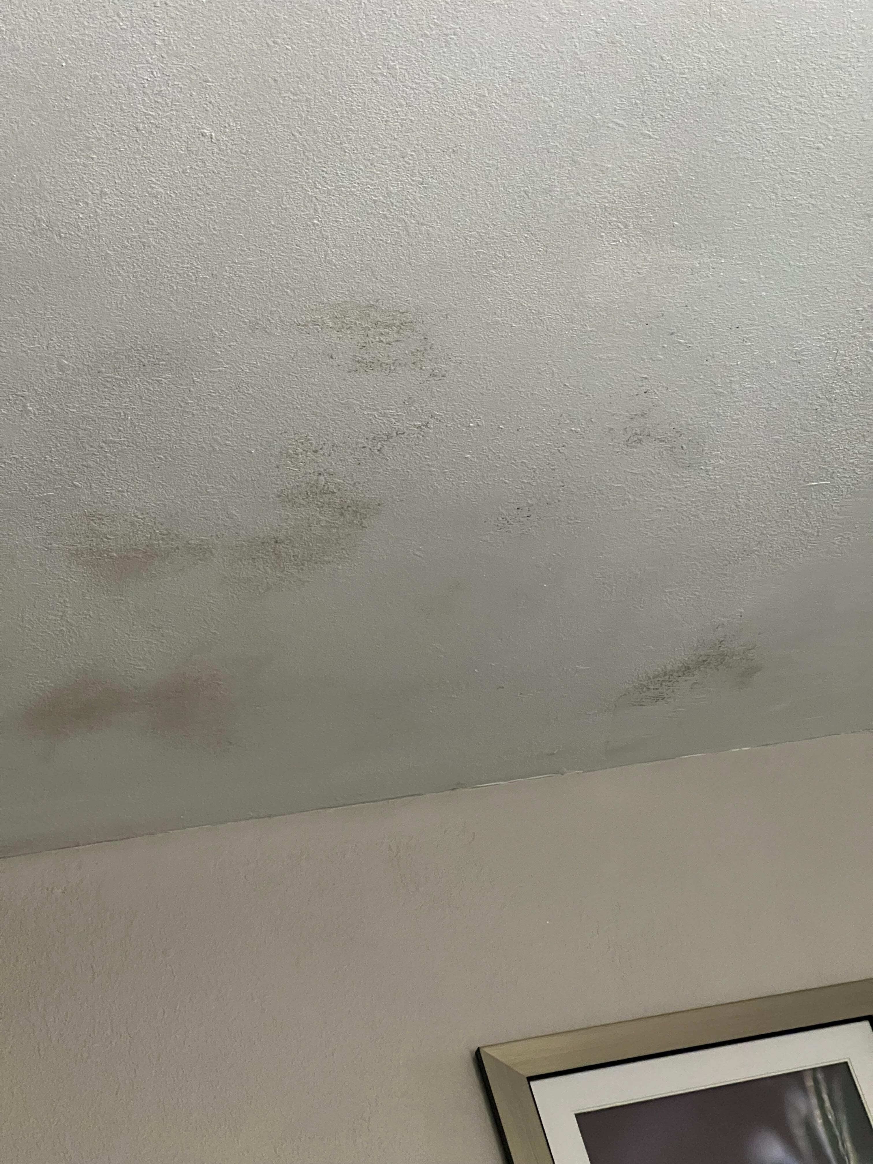 Mold on the ceiling above our bed. 