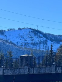 View out of the side window in living room.