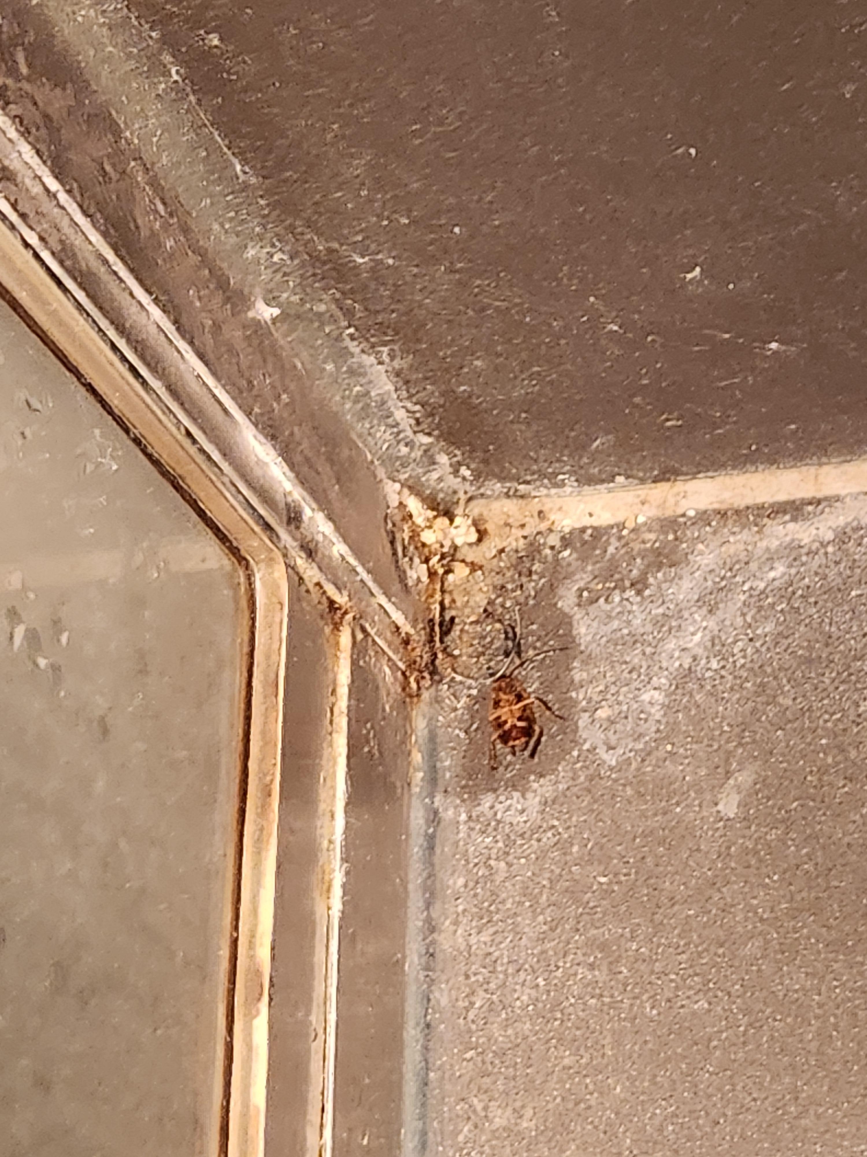 This filth was everywhere 