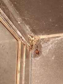 This filth was everywhere