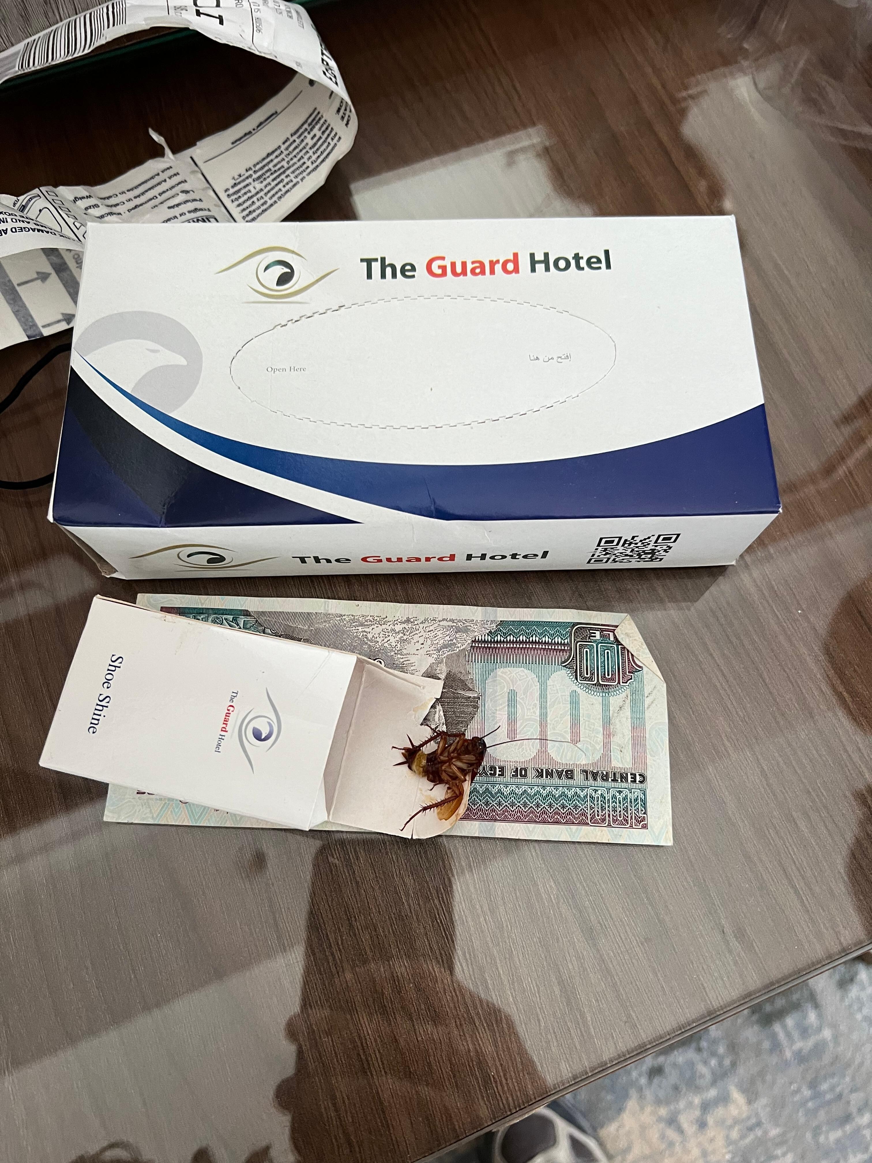 Wasnt the room attendants fault