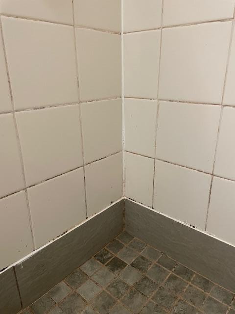  Black mold and gunk along with the shower head was not attached to the wall.