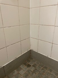 Black mold and gunk along with the shower head was not attached to the wall.