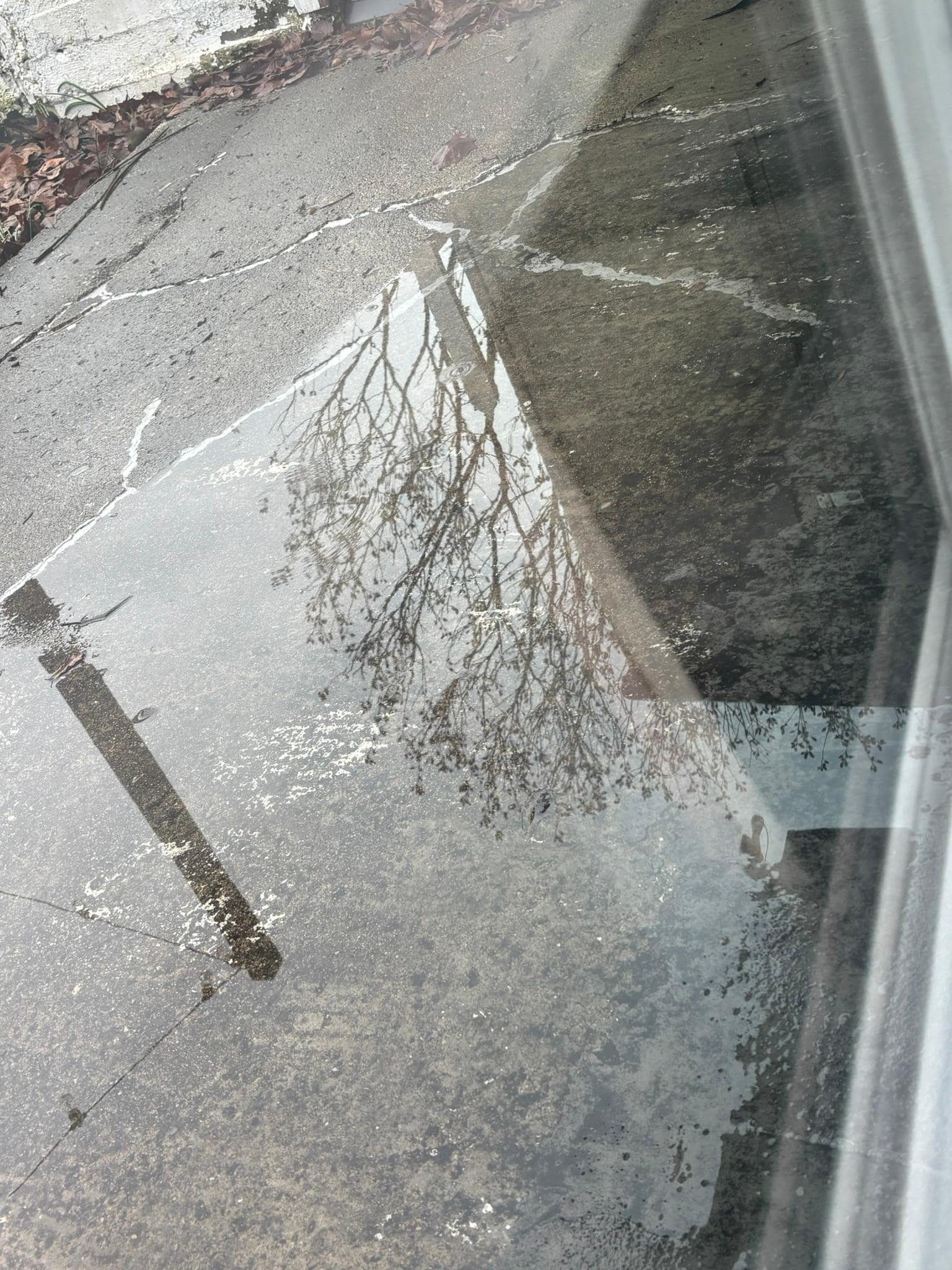 Standing water outside after 2hrs of heavy rain on back cement pad running back into home.