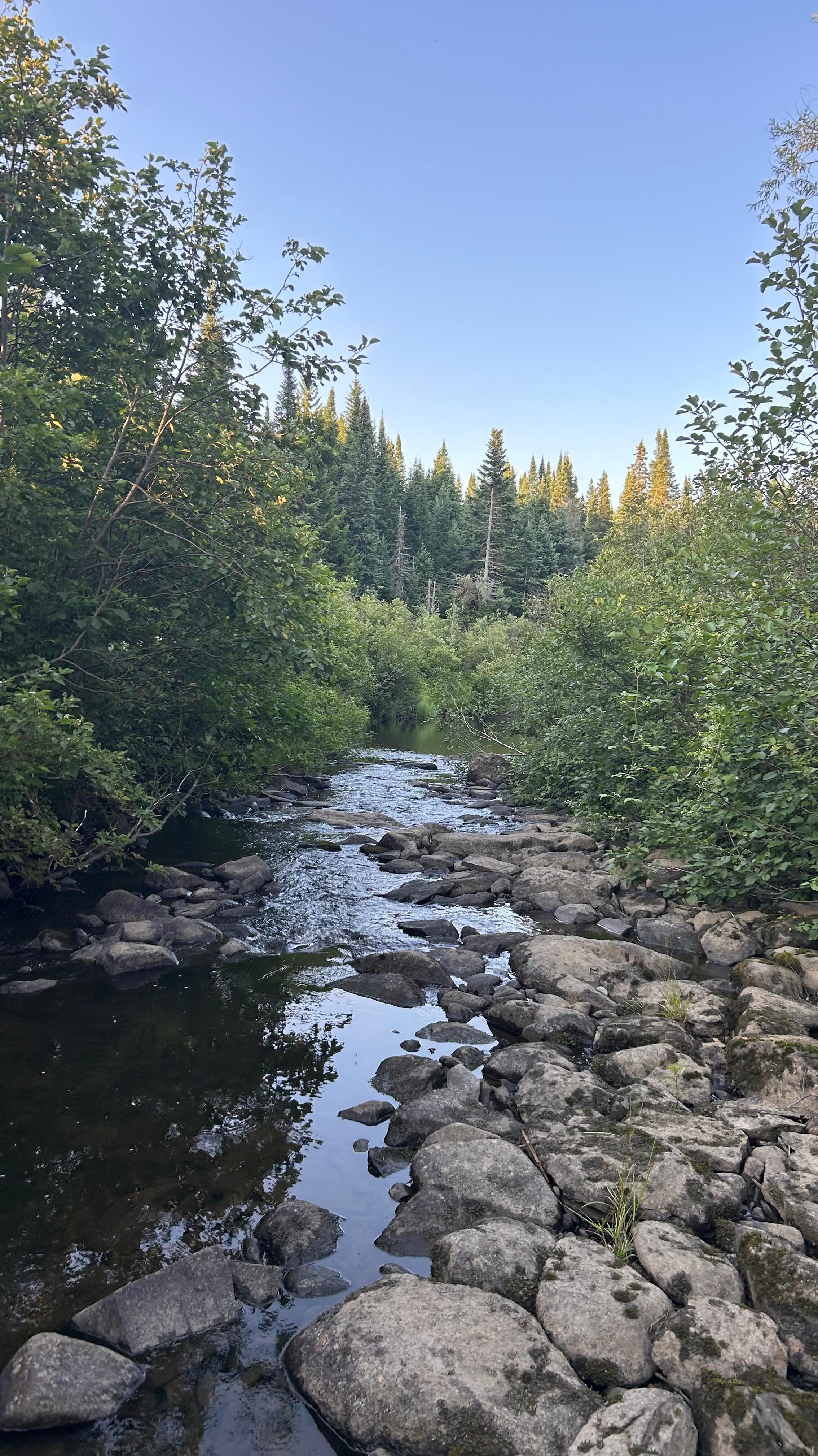 Le ruisseau:)