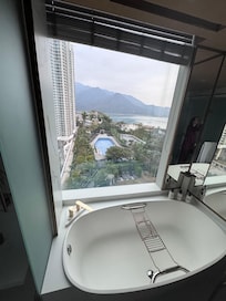 Bathroom window view.