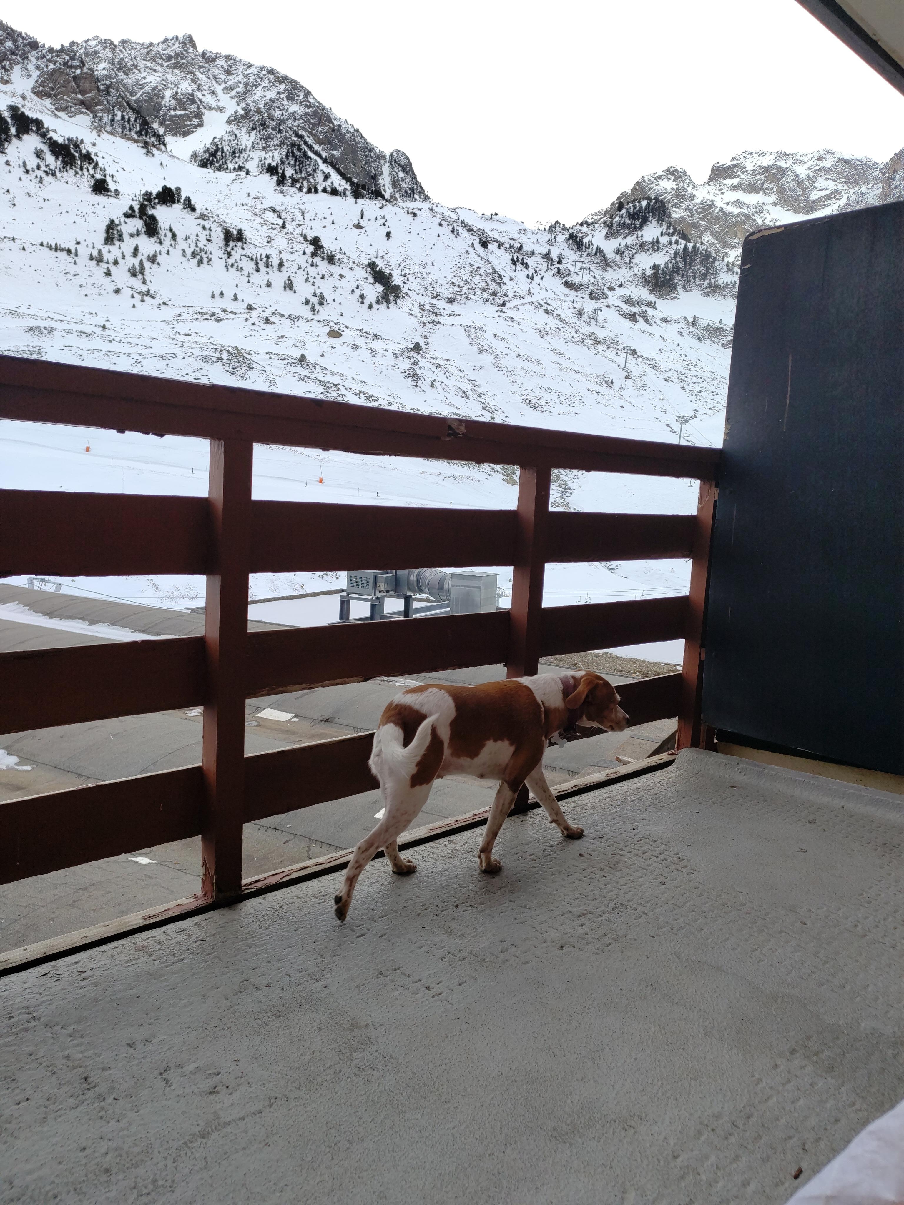 Jolie vue dégagée sur la montagne et les pistes 