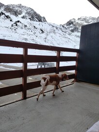 Jolie vue dégagée sur la montagne et les pistes