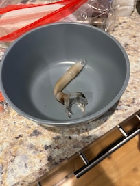 Meth pipe found in kitchen cabinet. Host company didn’t seem to find this a problem.