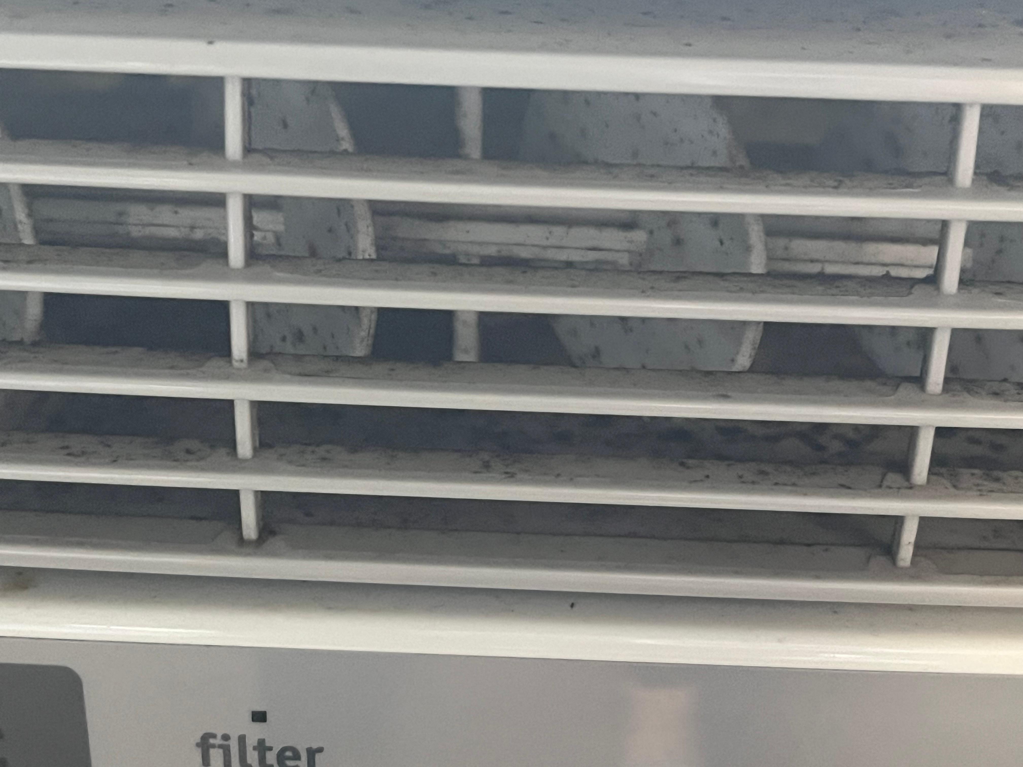 Moldy window unit