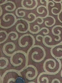 Carpet loose dirty moldy smell