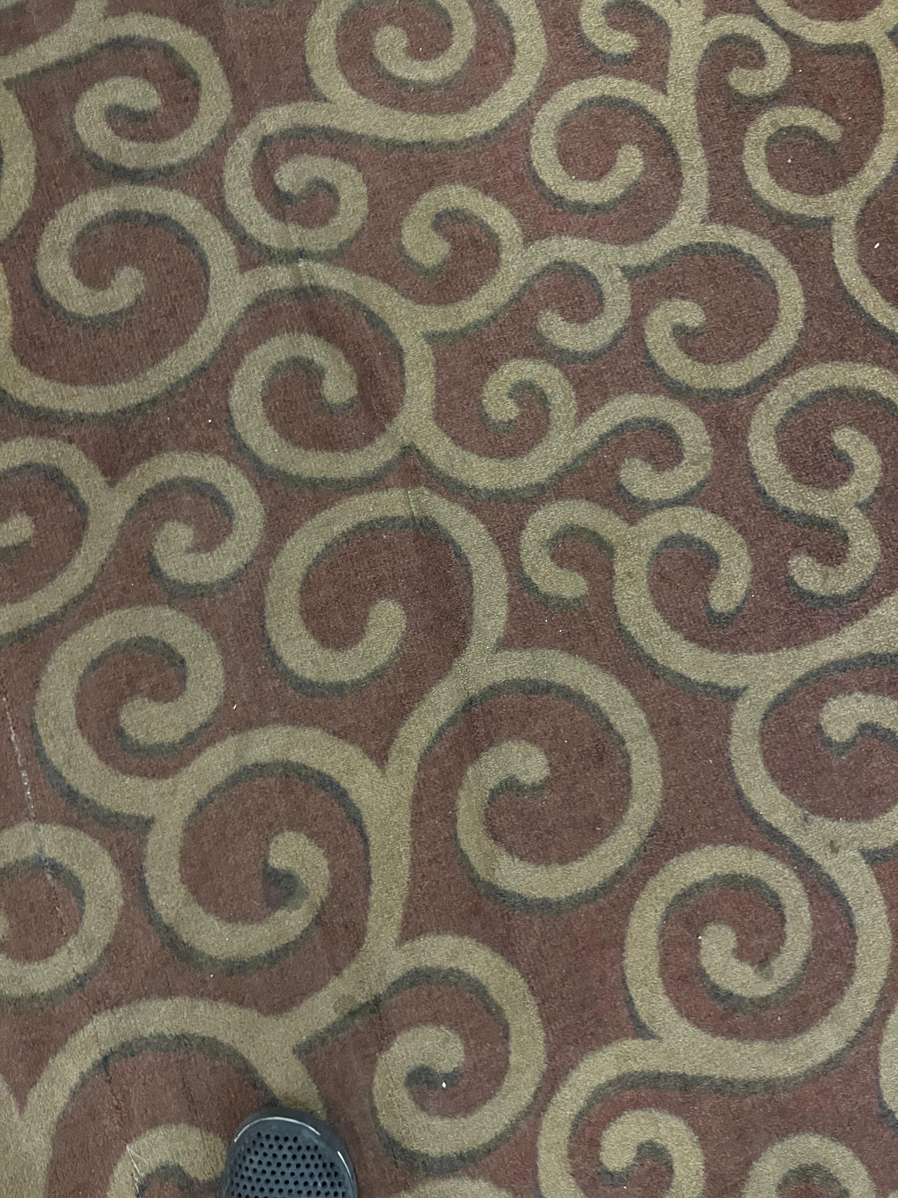 Carpet loose dirty moldy smell