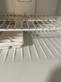 Freezer was not cleaned
