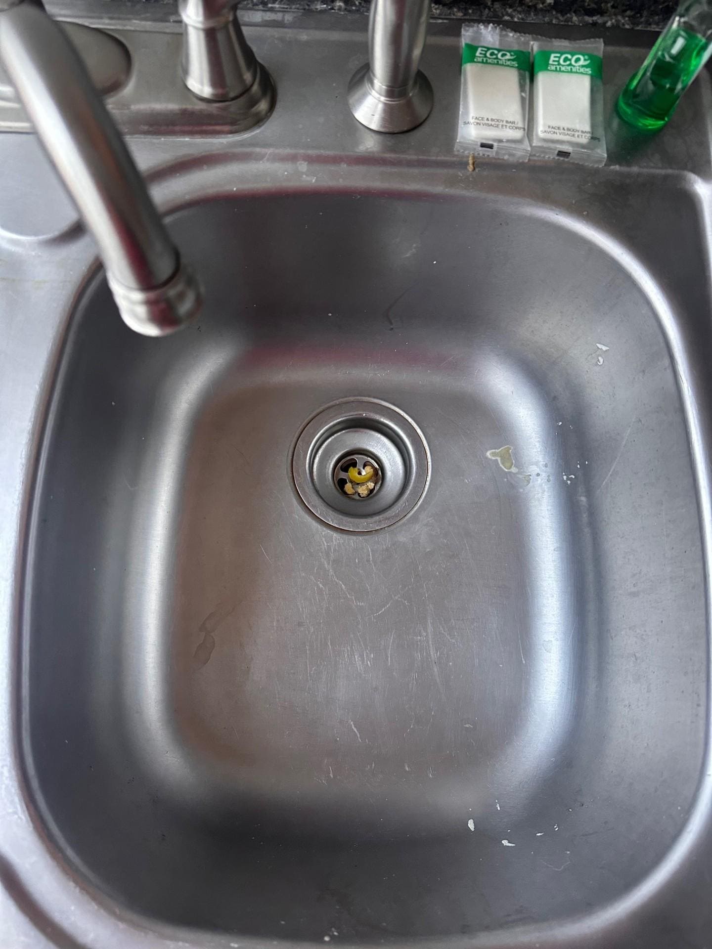 Food in kitchen sink