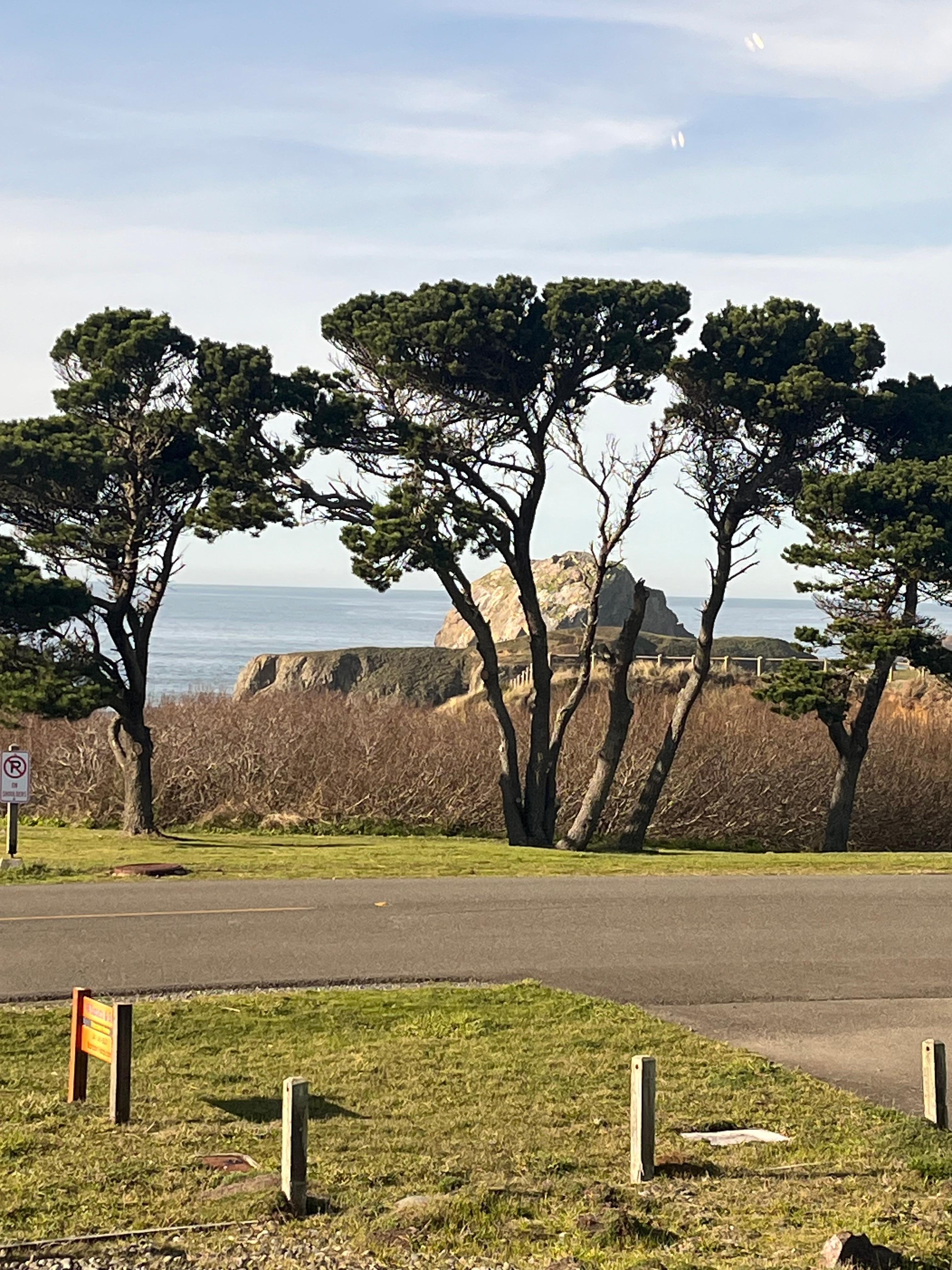 View of Face Rock from the front window.